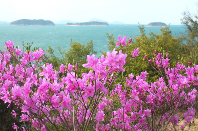 通仙園