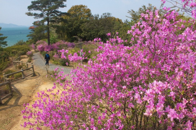 通仙園