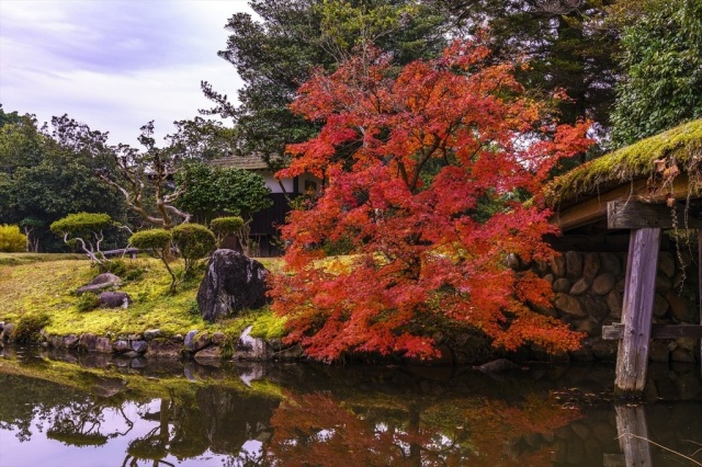 衆楽園(旧津山藩別邸庭園)