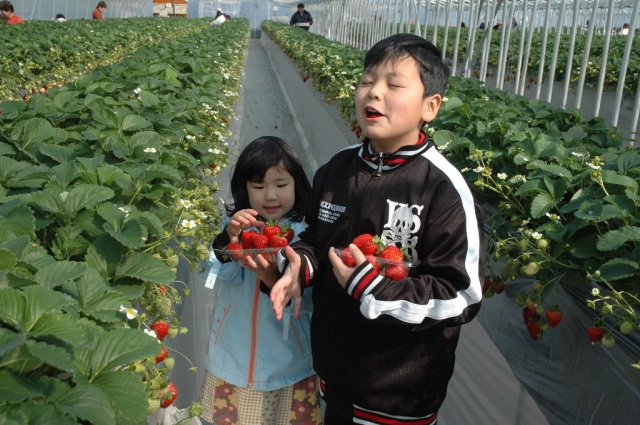 まほらファーム