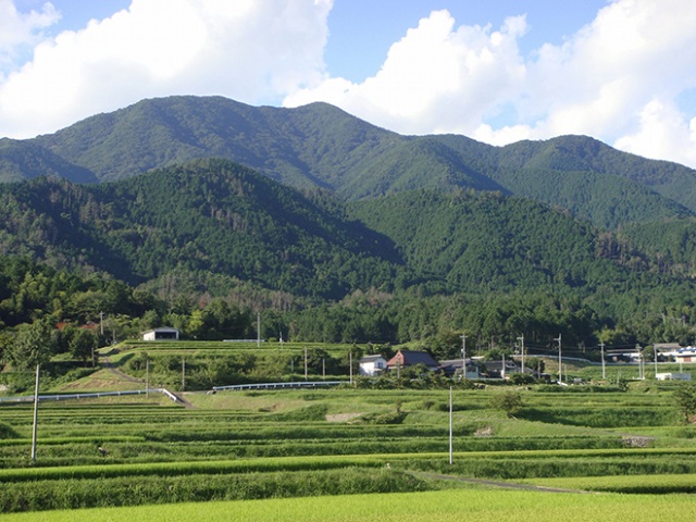 広戸仙