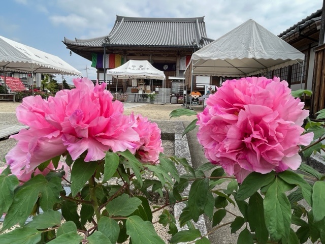 清眼寺