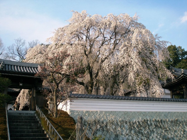千光寺