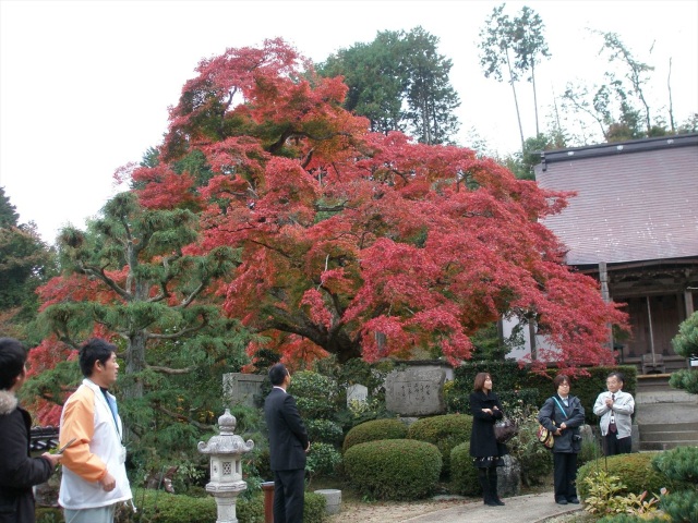 善應寺