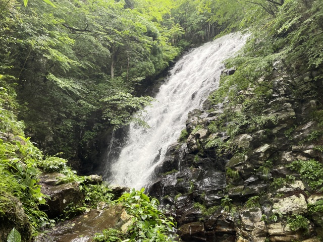 布滝