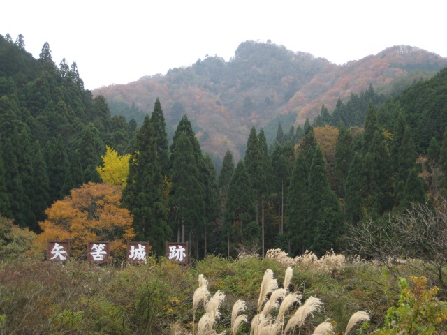 矢筈城跡