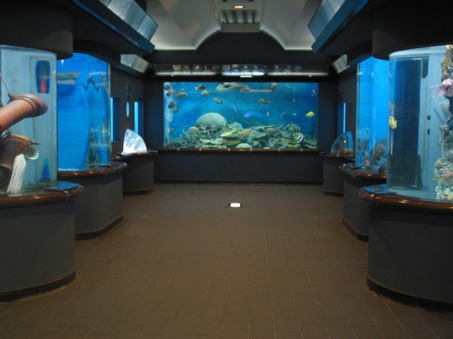 渋川マリン水族館（玉野市立海洋博物館）