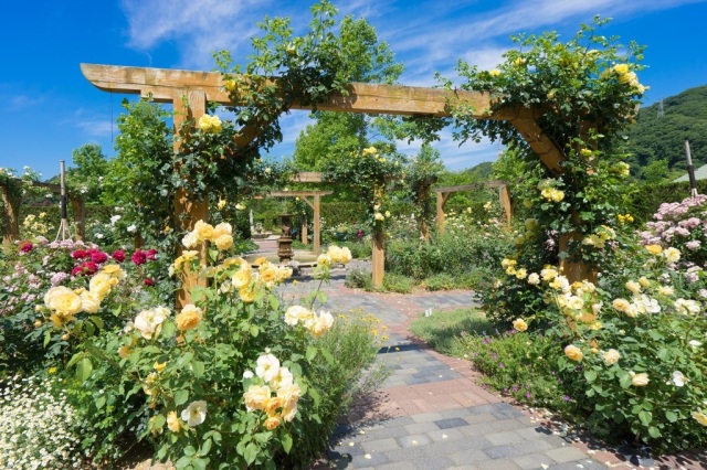 深山イギリス庭園