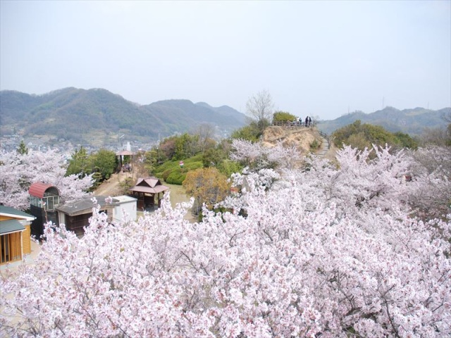 古城山公園