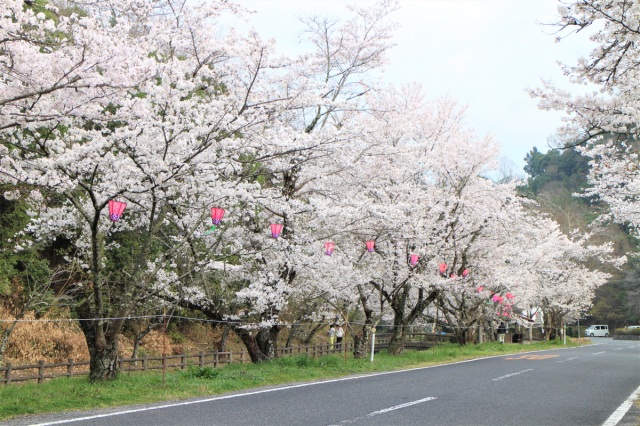 相原公園