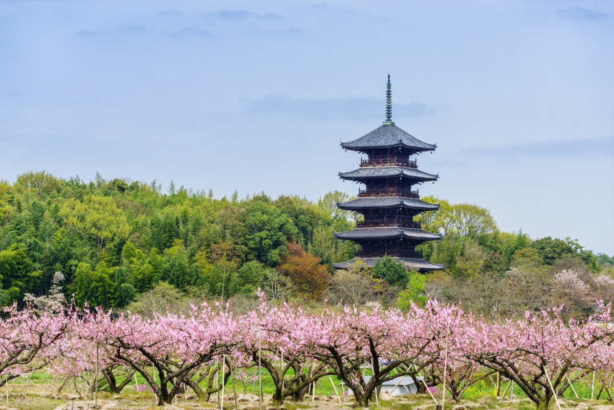 五重塔と桃の花