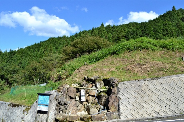 夏日の極上水