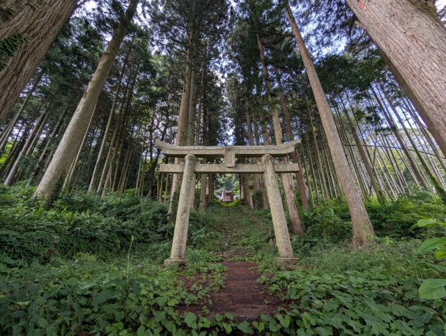 荒戸神社