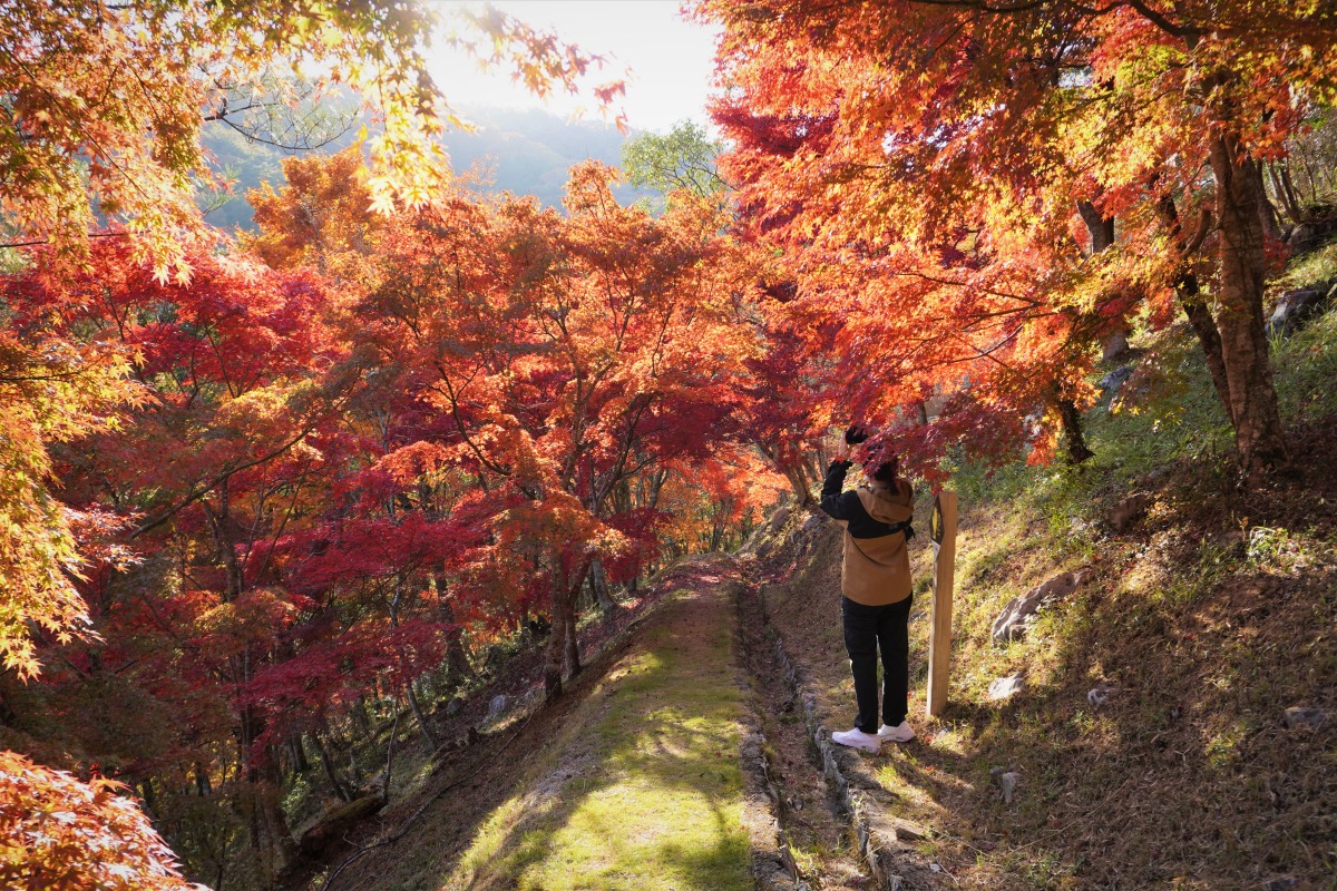 遊歩道