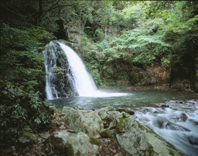 鳴滝