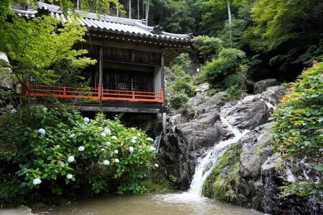 大滝