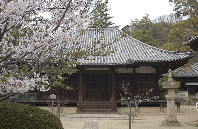 本蓮寺