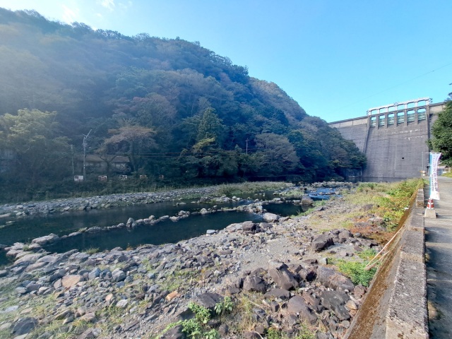 ニジマス自然釣場