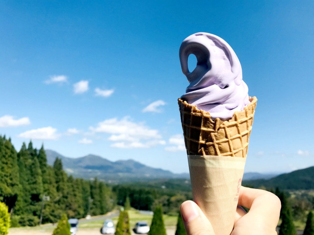 ラベンダーソフトクリーム