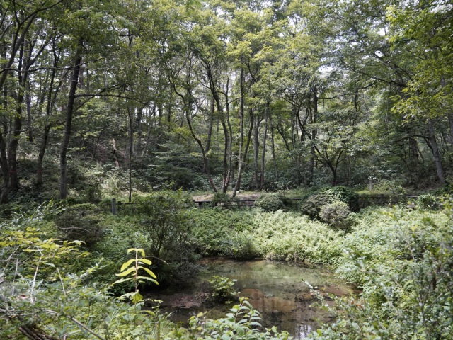 塩釜の冷泉