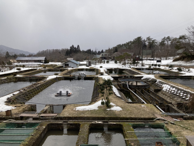 塩釜養魚センター釣り堀
