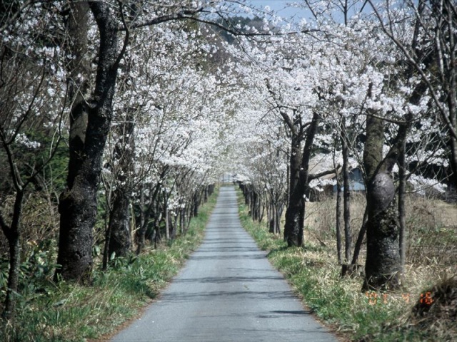 茅部神社