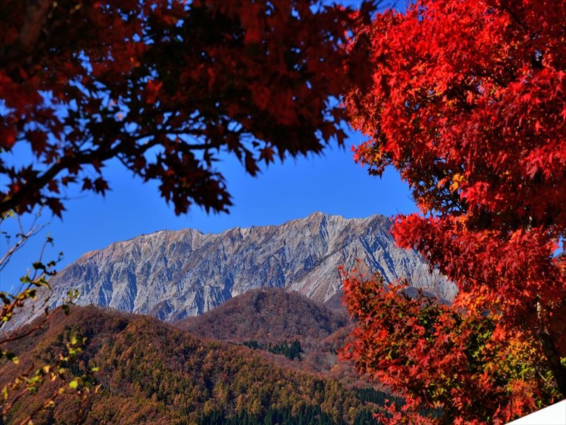 休憩所から見た大山