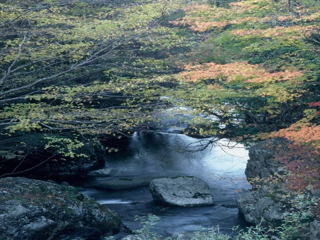 植杉渓谷