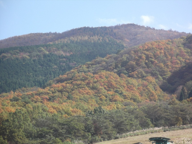 津黒山展望台