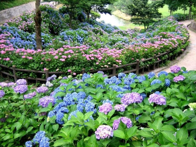落合総合公園