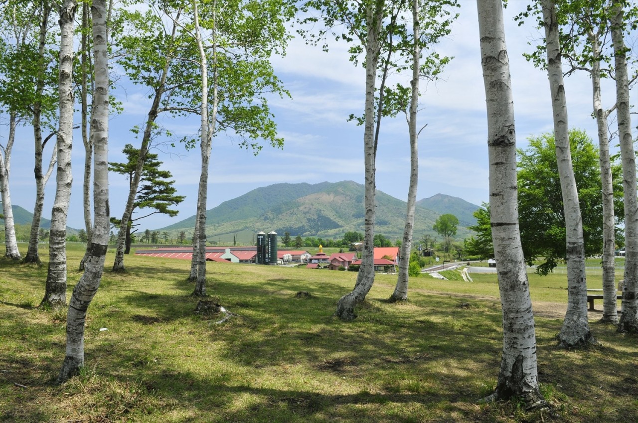 蒜山高原