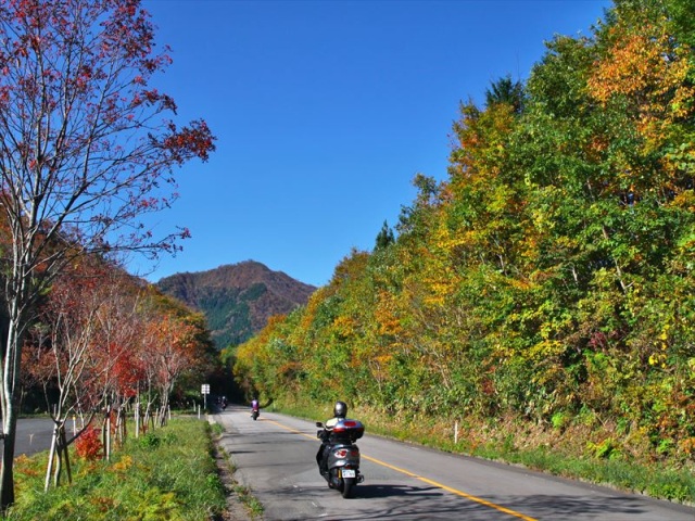 蒜山大山スカイライン