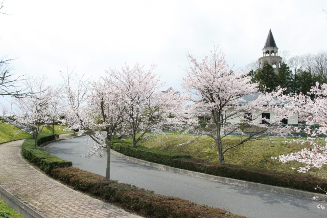 バレンタインパーク作東