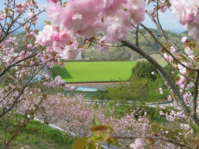 水道公園（美作市）