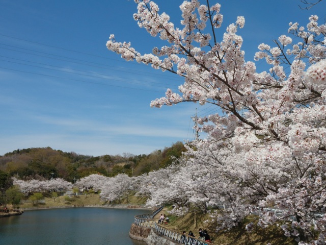 丸山公園