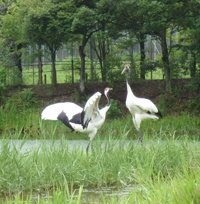 岡山県自然保護センター