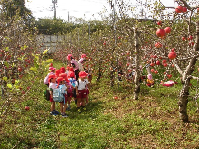 観光りんご園