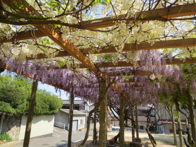 国鉾公園