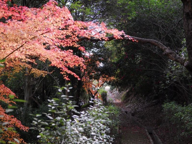 早島公園