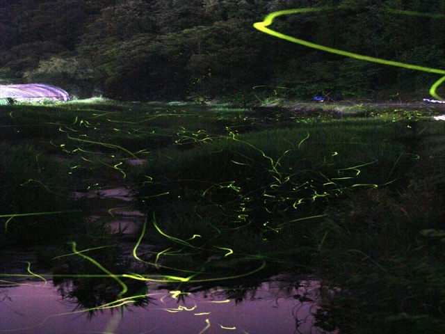 宇内ホタル公園