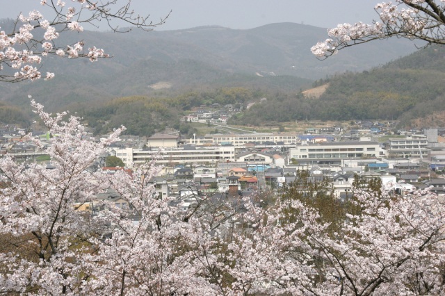 嵐山公園
