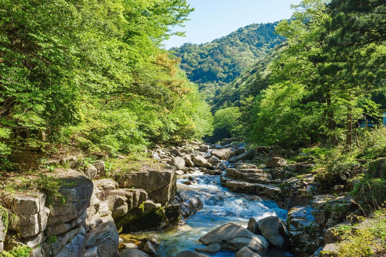 奥津渓（夏）