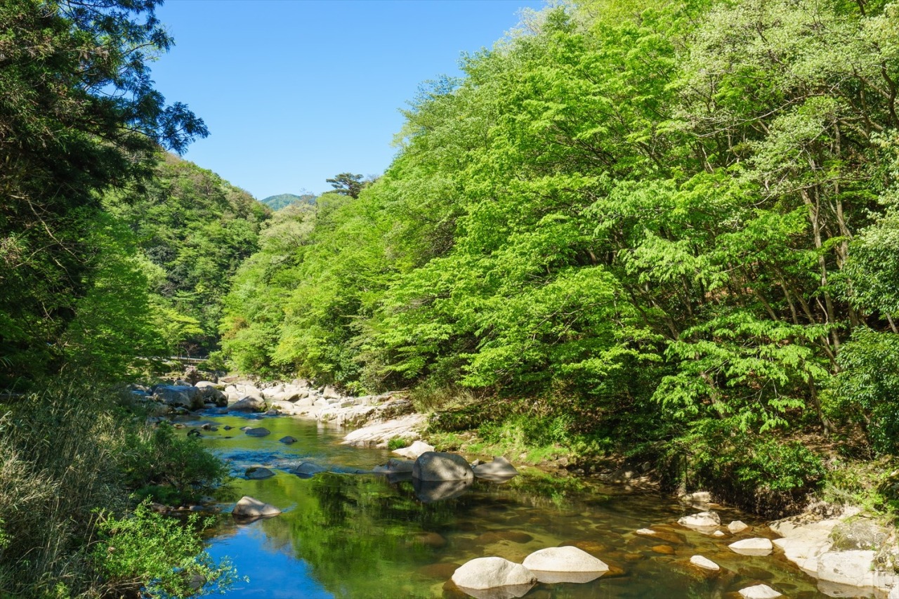 奥津渓（夏）
