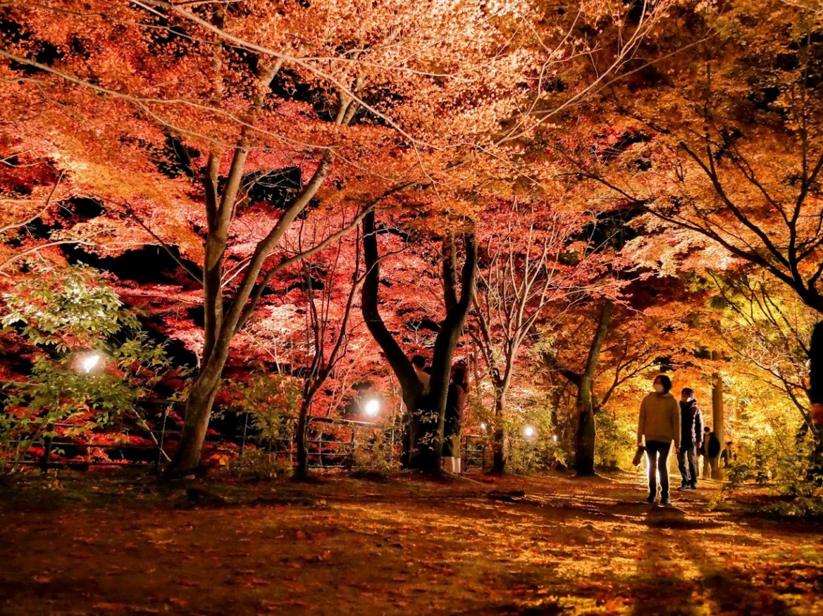 奥津渓（紅葉）