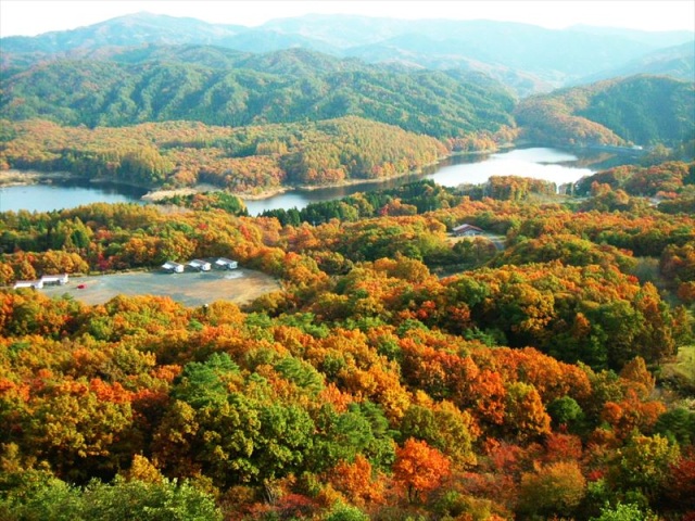 恩原高原
