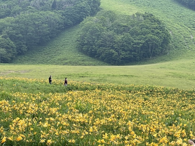 恩原高原スキー場