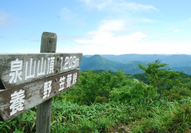 泉山
