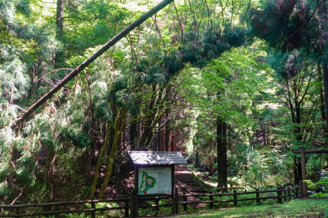 鍛冶屋谷たたら遺跡附供養塔