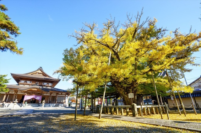 誕生寺