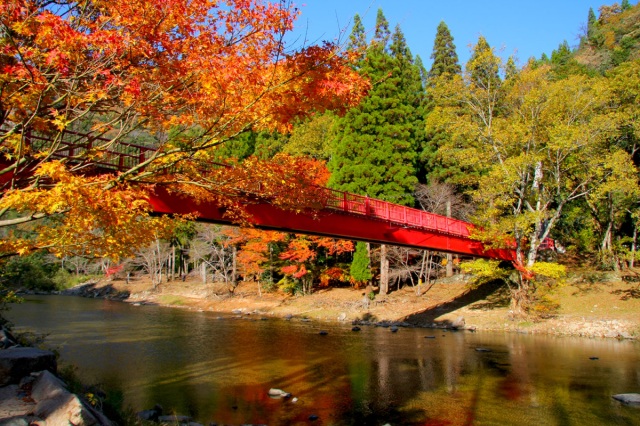 宇甘渓自然公園